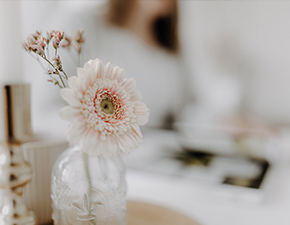 Anni Hollm – Kosmetik